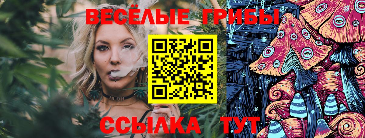 Галлюциногенные грибы Cubensis  Псилоцибиновые грибы прущие грибы  Городец  цена наркотик  Вход с VPN 